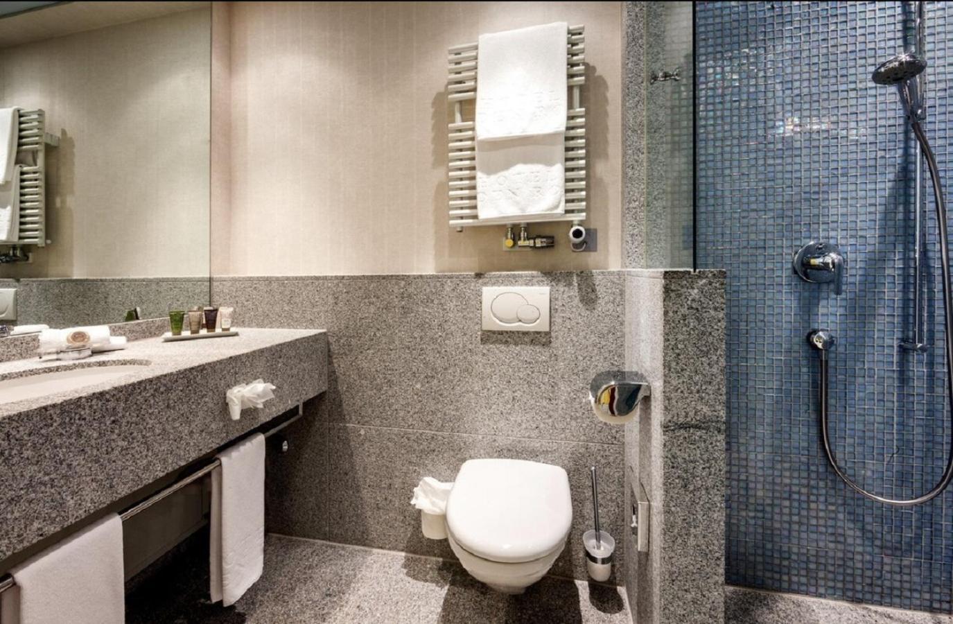 Eden Roc Marina Hotel Ascona Rom bilde